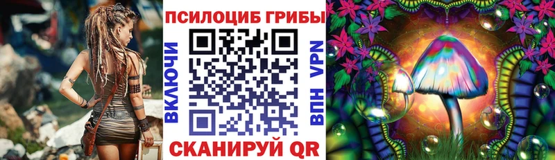 Псилоцибиновые грибы MAGIC MUSHROOMS  как найти наркотики  Калач-на-Дону 