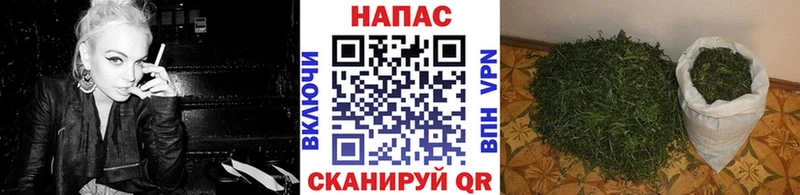 наркотики  Калач-на-Дону  Каннабис сатива 